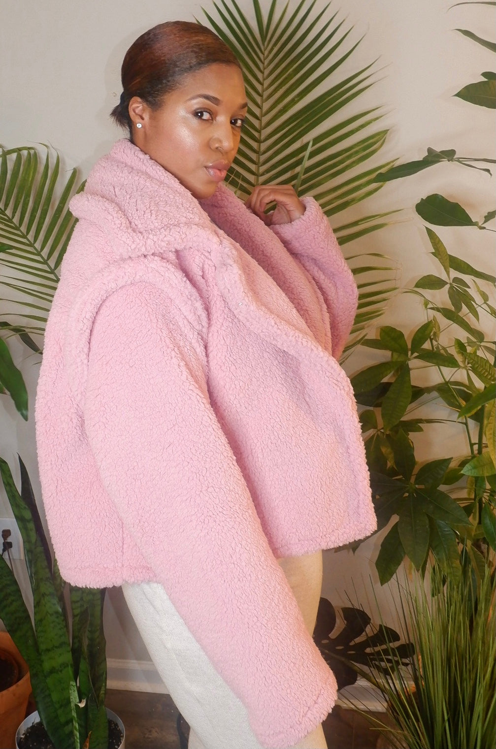 DAHN Multi Teddy ships by 12/18